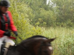 img_9825_web